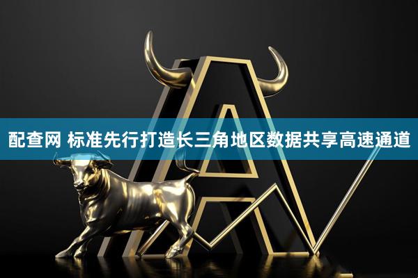 配查网 标准先行打造长三角地区数据共享高速通道