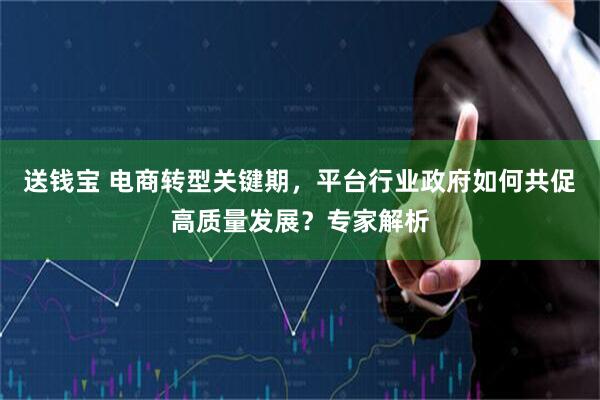 送钱宝 电商转型关键期，平台行业政府如何共促高质量发展？专家解析